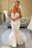 Robe de mariée sirène sans bretelles en dentelle ivoire Robe de mariée en dentelle WD707