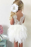 A-Line Crew Knee-Length Tulle Flower Girl Dress with Lace Ruffles  FL06
