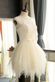 Mini Charming Tulle Short Prom Dresses Homecoming Dresses PG127 - Pgmdress