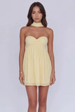 Chiffon Mini Homecoming Dress with Halter Neck and Lace-Up Back-Pgmdress