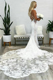 Gorgeous Mermaid Deep V Neck Backless Lace Wedding Dresses WD701-Pgmdress