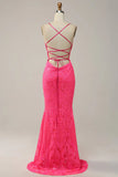 Mermaid Spaghetti Straps V Neck Lace Pink Prom Dress Formal Gown