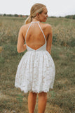 A-Line Ivory Lace Halter Neckline Backless Short Homecoming Dress PD449 - Pgmdress