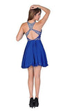 A Line Chiffon Blue Homecoming Dresses Short Prom Dresses PG090 - Pgmdress