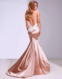 Backless Prom Dresses Trumpet Mermaid Spaghetti Straps Long Sexy Prom Dress PSK174 - Pgmdress