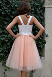 Homecoming Dress Sexy Straps Tulle Short Prom Dress Party Dress  PD357 - Pgmdress