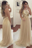 Elegant Tulle Open Back Long Prom Dresses Party Dresses PG389