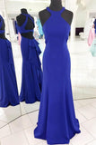 Gorgeous Halter Royal Blue Mermaid Long Evening Dress  PG539