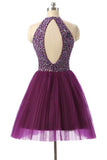 Halter Sleeveless Short Purple Homecoming Dresses Prom Dresses PG014 - Pgmdress