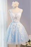 Scoop Neck Short Tulle Homecoming Dress Party Dress With Appliques Lace PG137 - Pgmdress