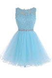 Scoop Short Blue Zipper-up Tulle Homecoming Dress PG013 - Pgmdress