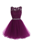 Scoop Short Grape Zipper-up Tulle Homecoming Dress PG095