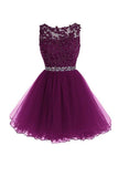 Scoop Short Grape Zipper-up Tulle Homecoming Dress PG095 - Pgmdress