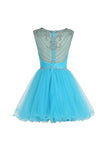 Short Homecoming Dress Scoop Tulle Prom Dress PG061 - Pgmdress