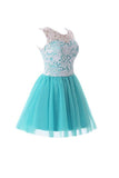Short Lace Tulle Prom Dresses Homecoming Dresses Party Dresses PG075 - Pgmdress