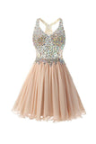 Short/Mini Halter A Line/Princess Homecoming Dresses Beaded  PG038