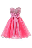 Sweetheart Organza Short Prom Dresses Homecoming Dresses PG063