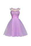 Tulle Appliques Beads Open Back Short Homecoming Dresses PG055 - Pgmdress